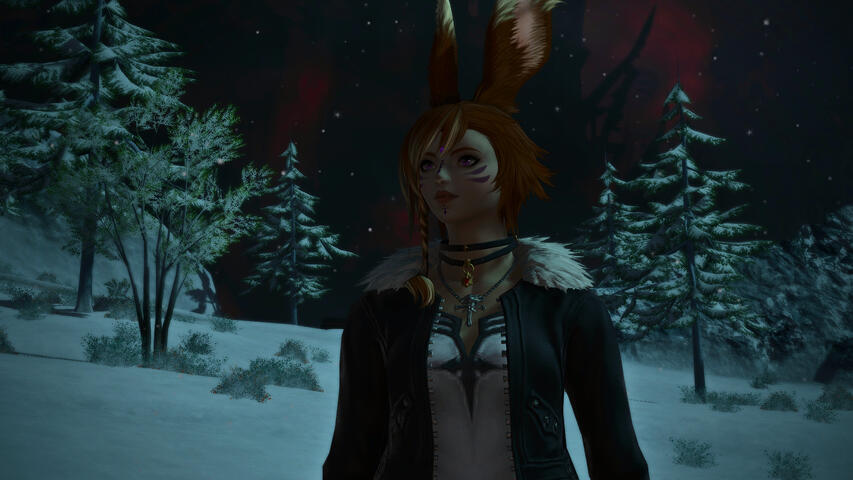 The cold of Ilsabard 4