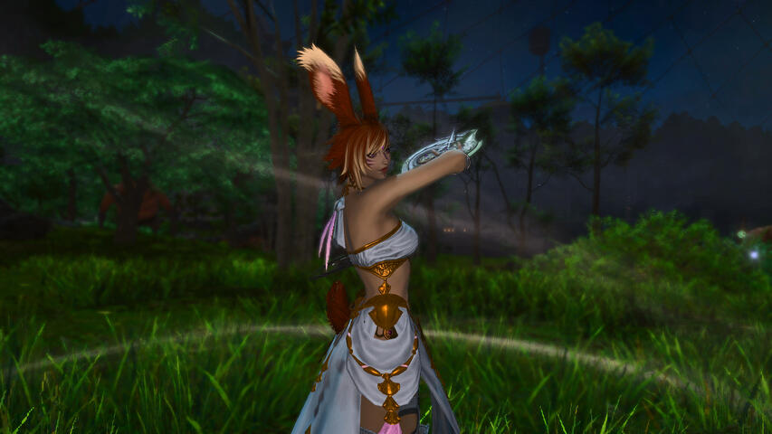 Catching the chakras